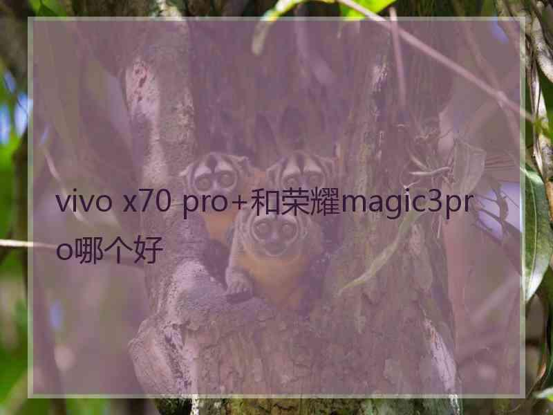 vivo x70 pro+和荣耀magic3pro哪个好