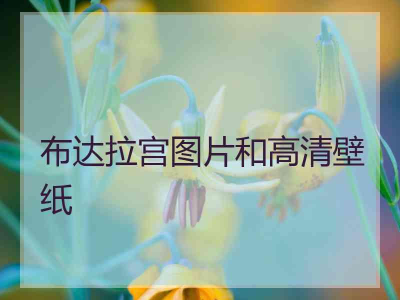 布达拉宫图片和高清壁纸