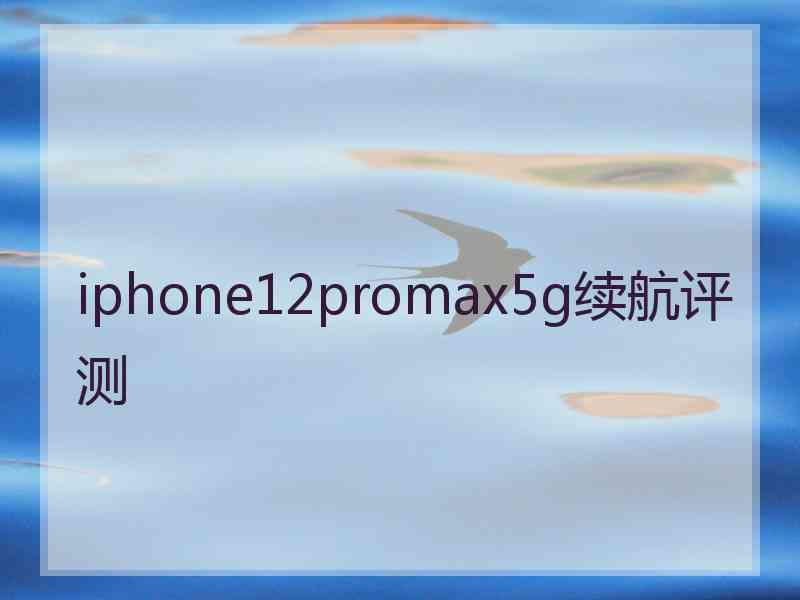 iphone12promax5g续航评测