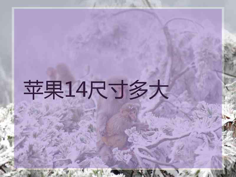 苹果14尺寸多大