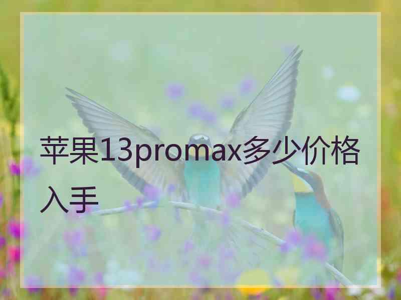 苹果13promax多少价格入手