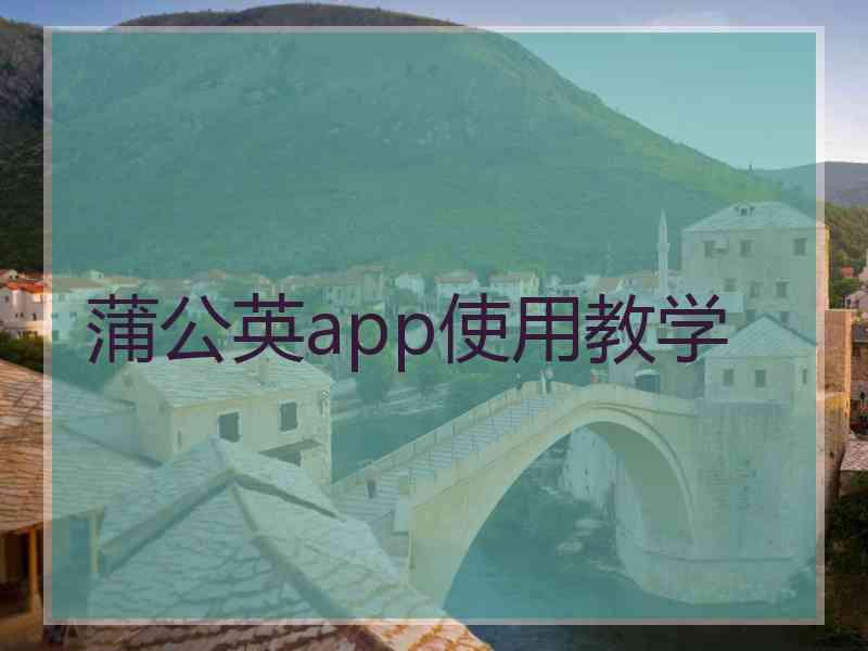 蒲公英app使用教学