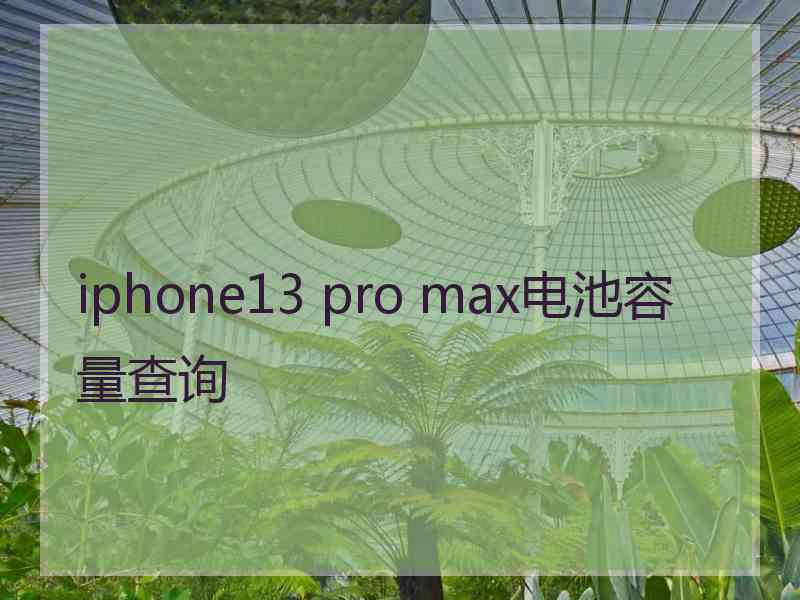 iphone13 pro max电池容量查询