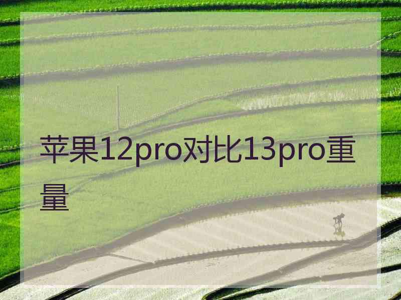 苹果12pro对比13pro重量