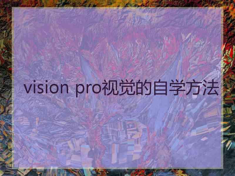 vision pro视觉的自学方法