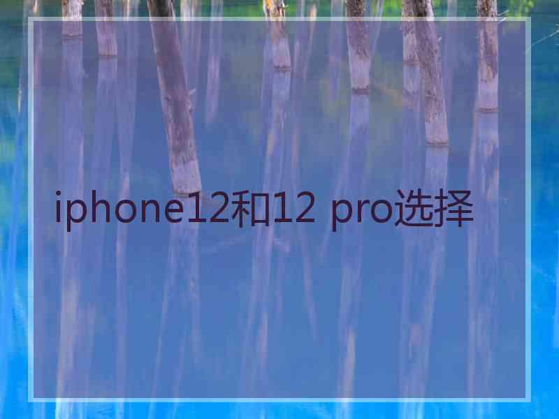 iphone12和12 pro选择