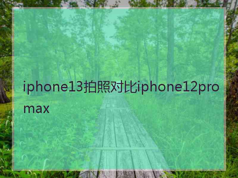 iphone13拍照对比iphone12promax