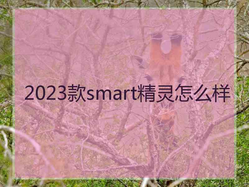 2023款smart精灵怎么样