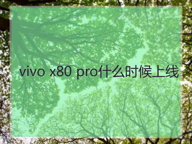 vivo x80 pro什么时候上线