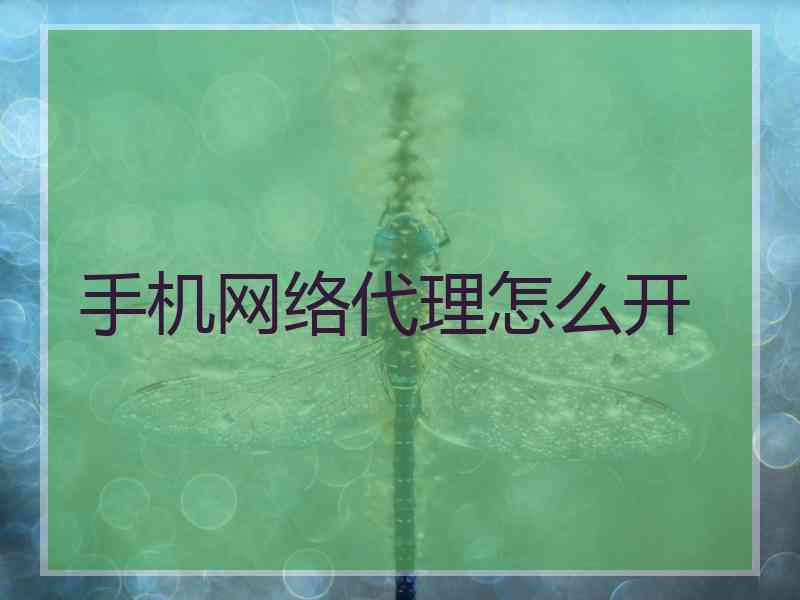 手机网络代理怎么开