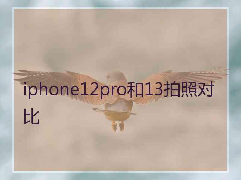 iphone12pro和13拍照对比