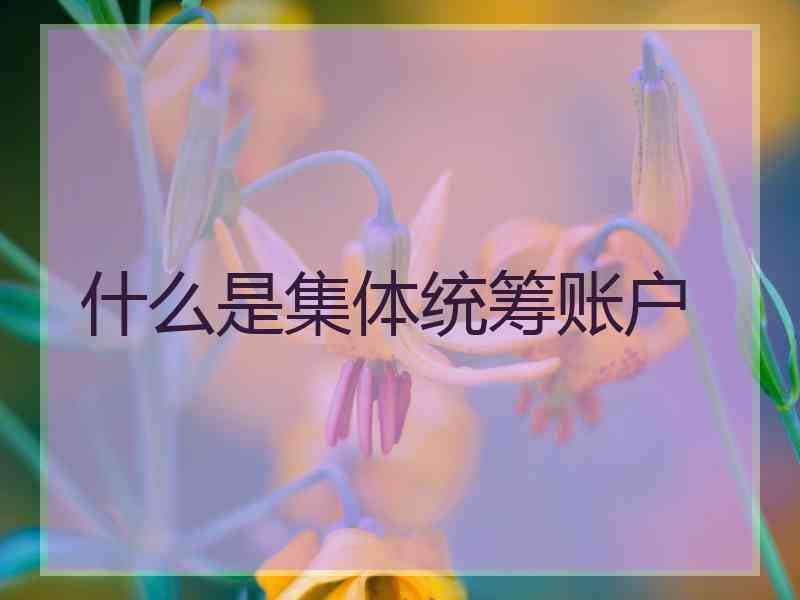 什么是集体统筹账户