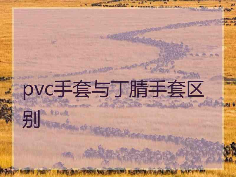 pvc手套与丁腈手套区别