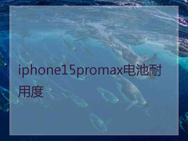 iphone15promax电池耐用度