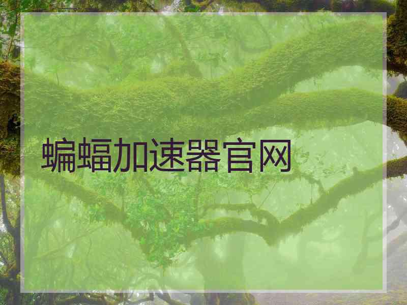 蝙蝠加速器官网