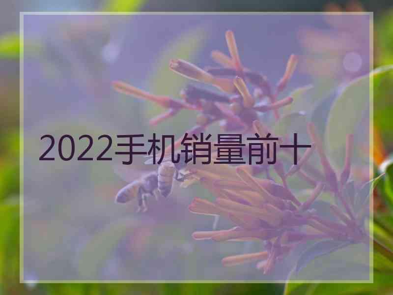 2022手机销量前十