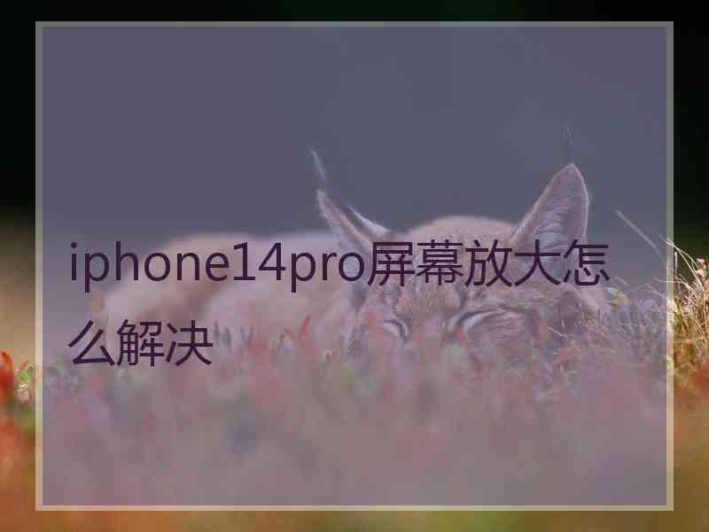 iphone14pro屏幕放大怎么解决