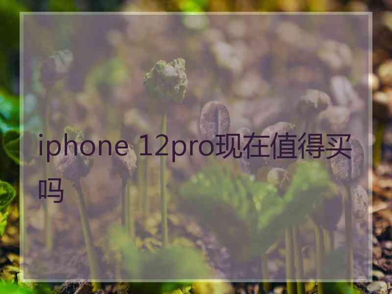 iphone 12pro现在值得买吗