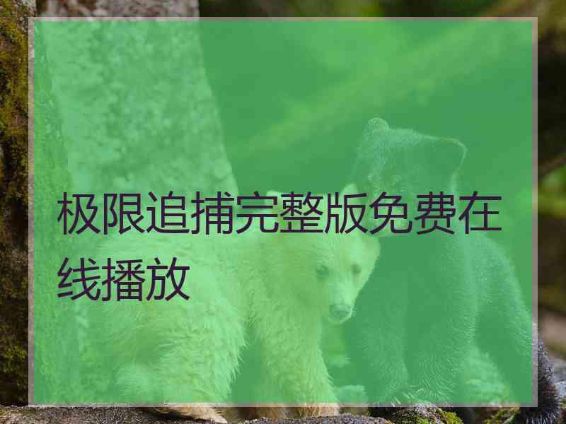 极限追捕完整版免费在线播放