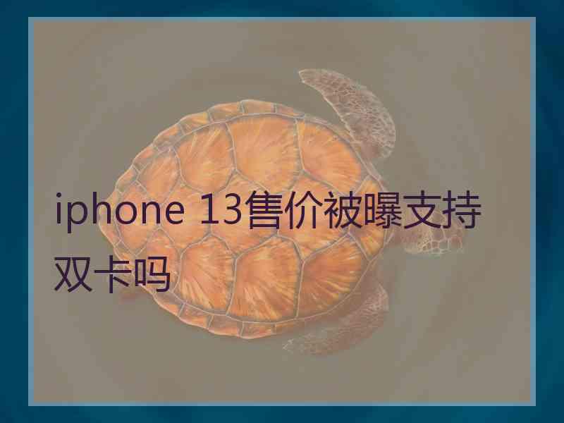 iphone 13售价被曝支持双卡吗