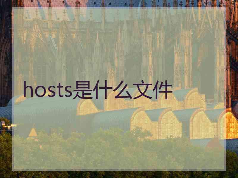 hosts是什么文件