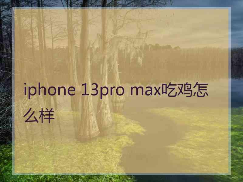 iphone 13pro max吃鸡怎么样