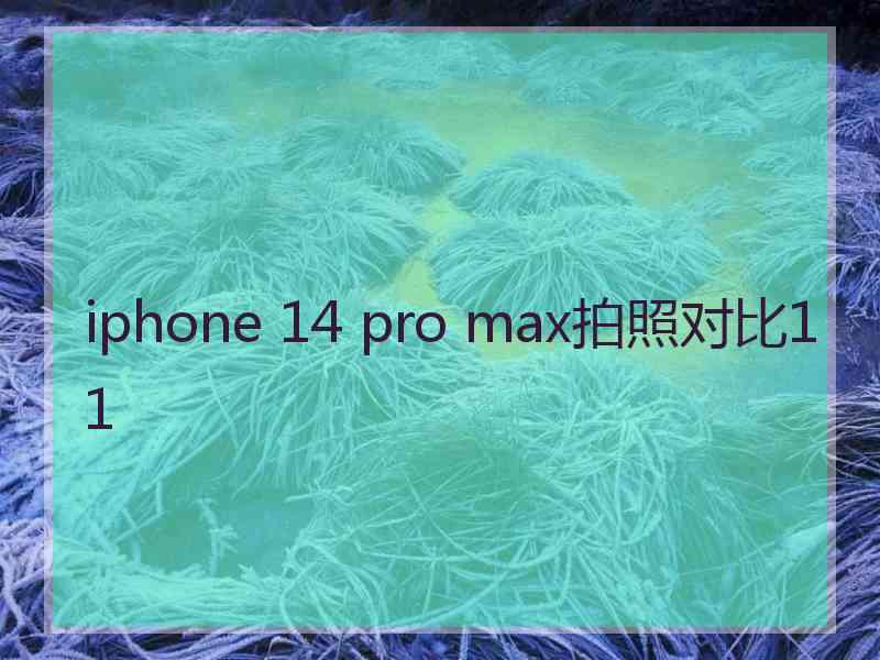 iphone 14 pro max拍照对比11