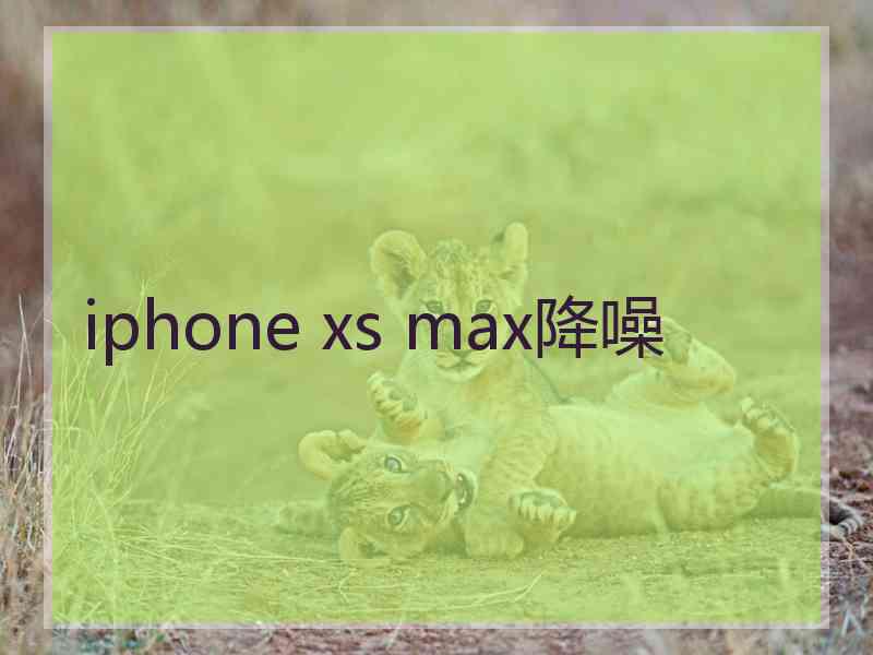 iphone xs max降噪