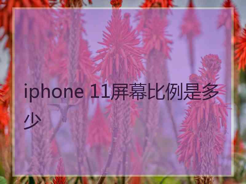 iphone 11屏幕比例是多少