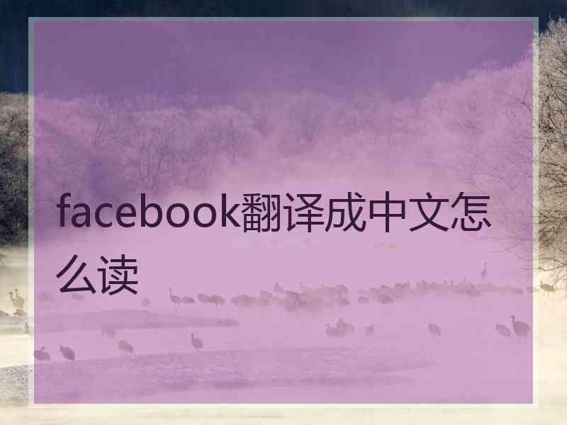 facebook翻译成中文怎么读