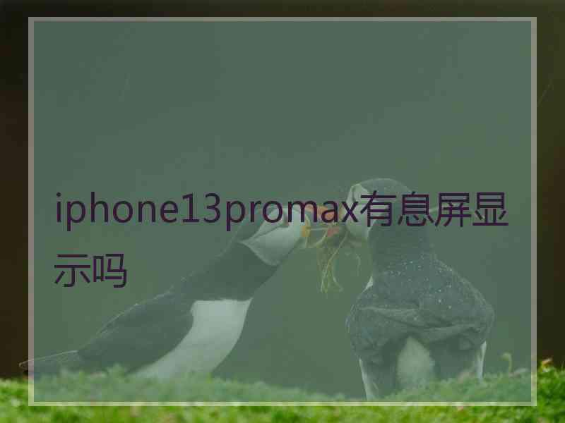 iphone13promax有息屏显示吗