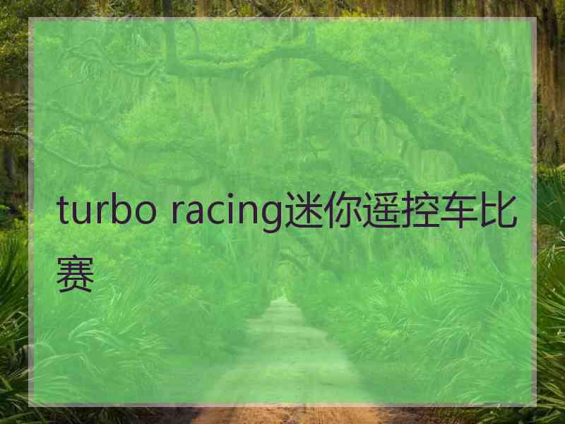 turbo racing迷你遥控车比赛