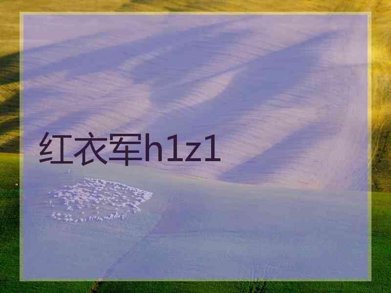 红衣军h1z1