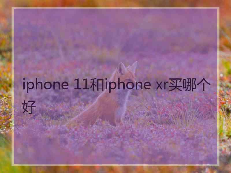 iphone 11和iphone xr买哪个好