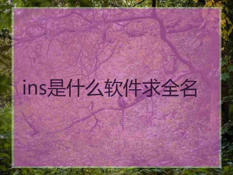 ins是什么软件求全名