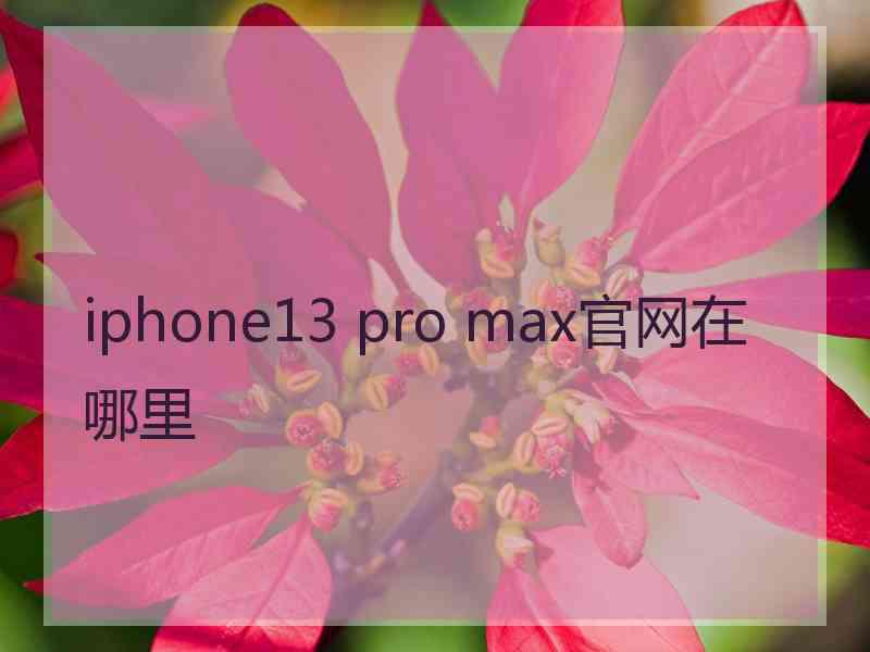 iphone13 pro max官网在哪里