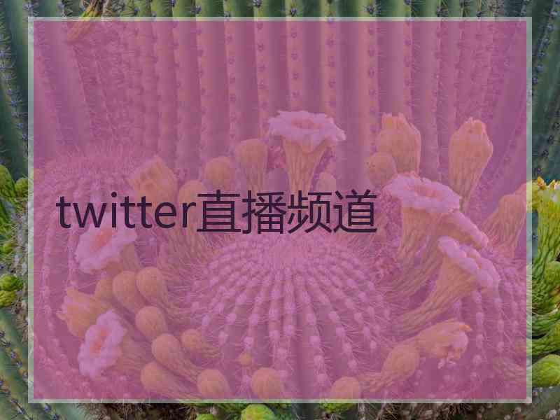 twitter直播频道