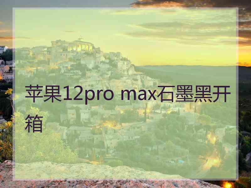 苹果12pro max石墨黑开箱