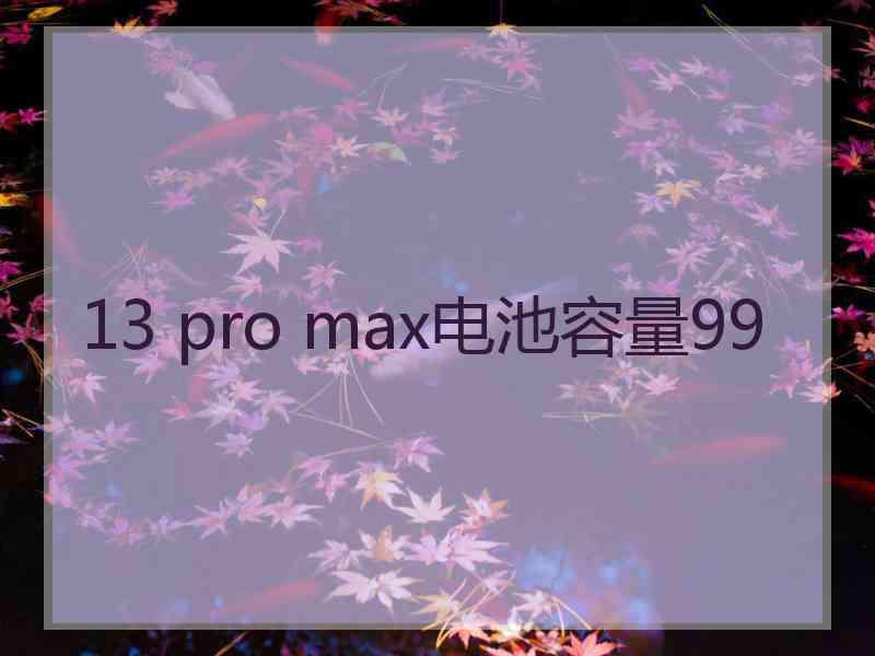 13 pro max电池容量99