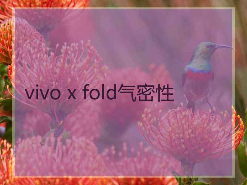 vivo x fold气密性