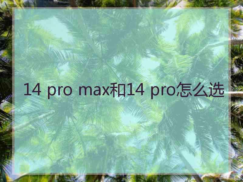 14 pro max和14 pro怎么选