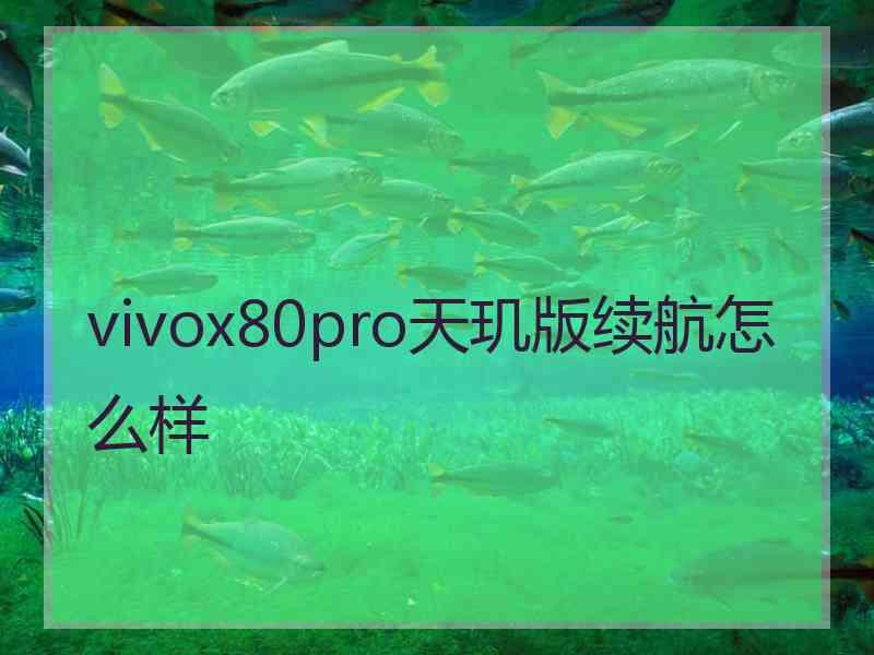 vivox80pro天玑版续航怎么样