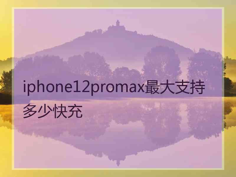 iphone12promax最大支持多少快充