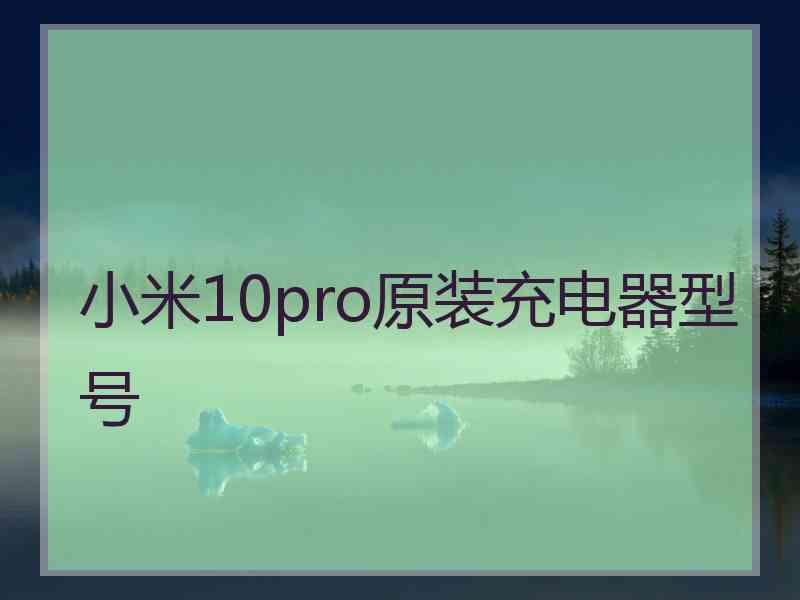 小米10pro原装充电器型号