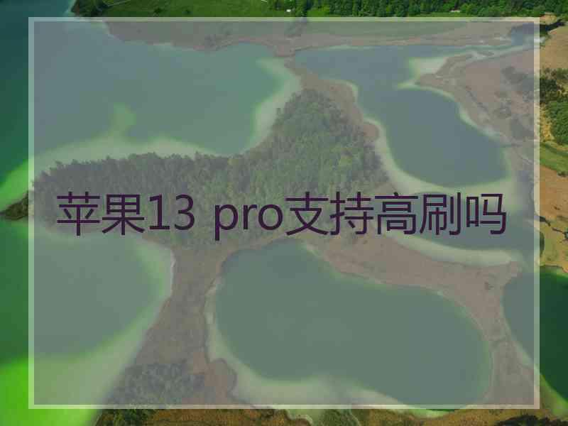 苹果13 pro支持高刷吗