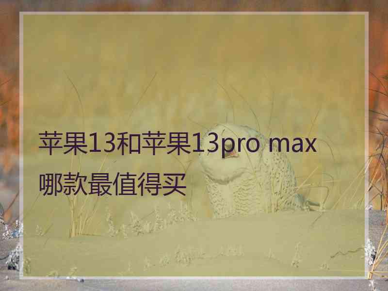 苹果13和苹果13pro max哪款最值得买