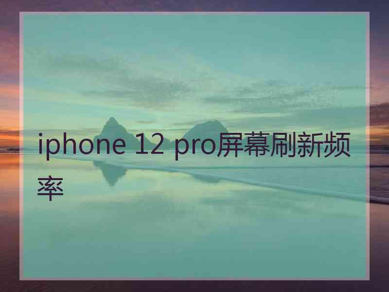 iphone 12 pro屏幕刷新频率