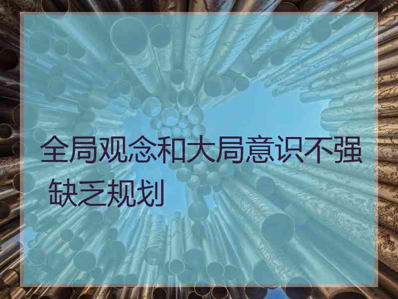 全局观念和大局意识不强 缺乏规划