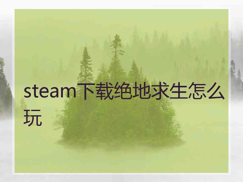 steam下载绝地求生怎么玩