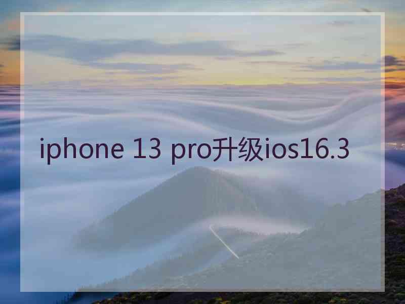 iphone 13 pro升级ios16.3